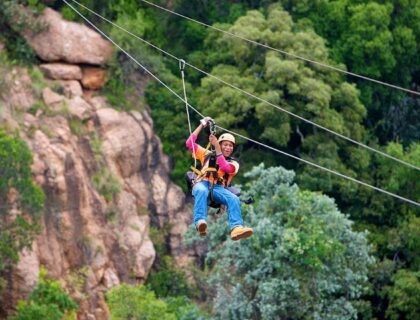 Johannesburg experiences - Magaliesberrg treetop caopy tour