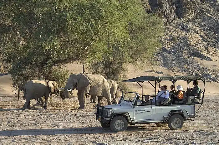 Damaraland-Wilderness-Safaris-Dana-Allen, Namibia safari tours