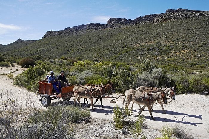 Community Tourism & Sustainability with Cedarberg Africa