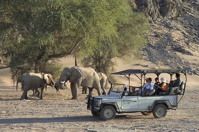 Damaraland safaris in search of desert adapted elephants