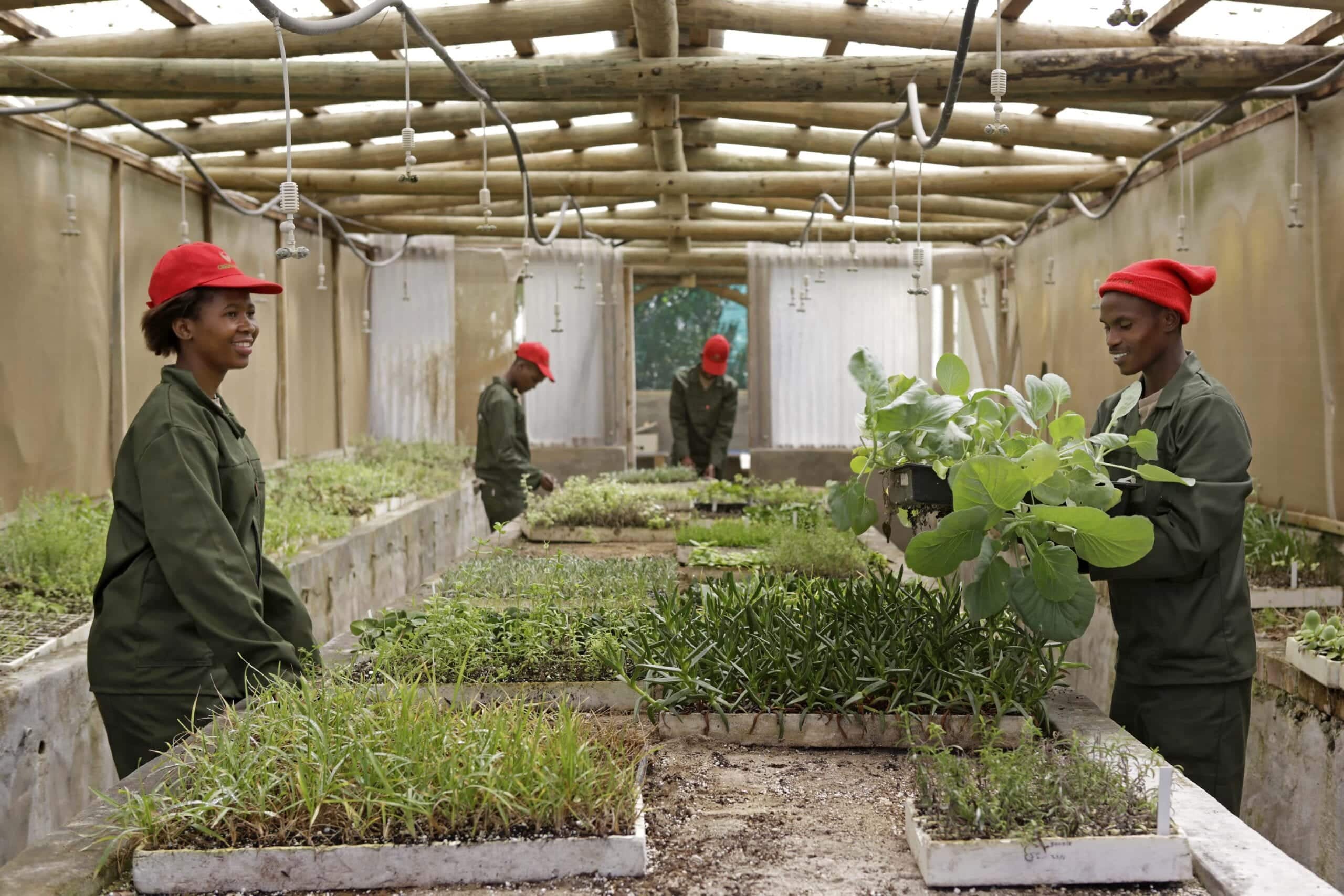 Conservation efforts at Grootbos