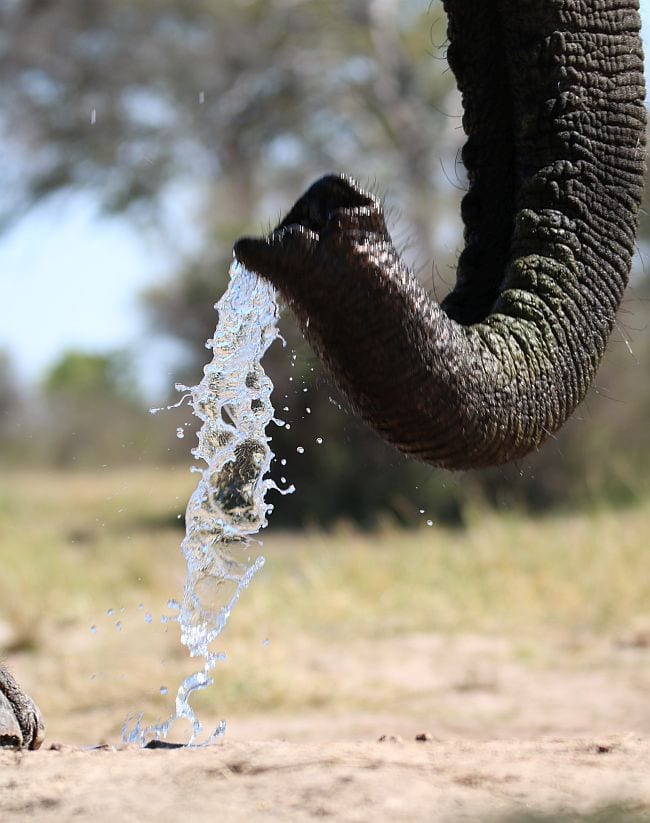 Hwange-bomani-hide-ellie-waterfall-KB