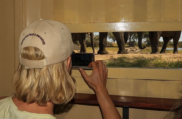 Imvelo-Safaris-Camelthorn-elephant-blind-1