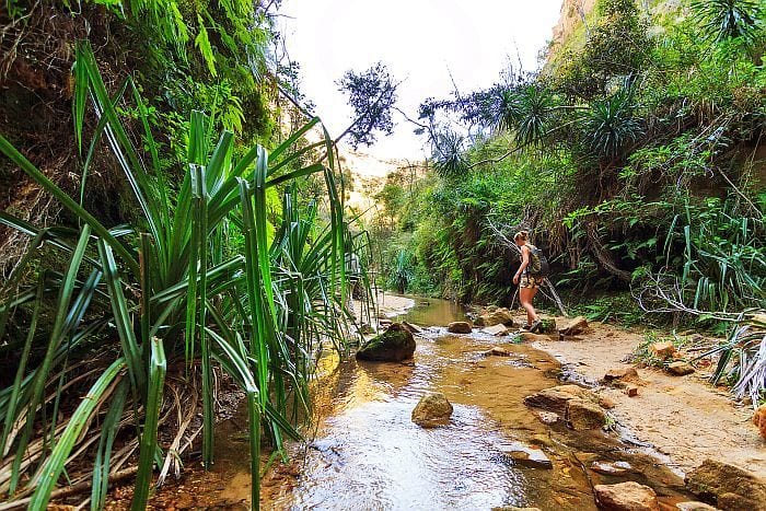 Walking in isalo National park on Rainforests, Mountains & Beaches of Southern Madagascar