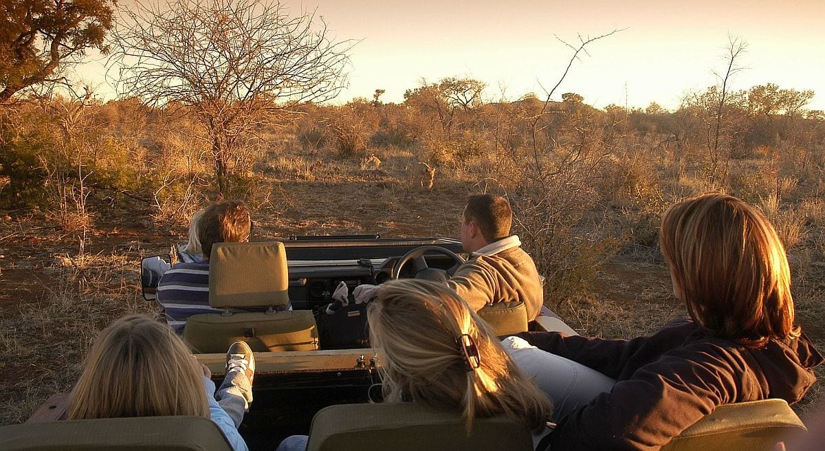 Malaria free safari in Madikwe Game Reserve, South Africa