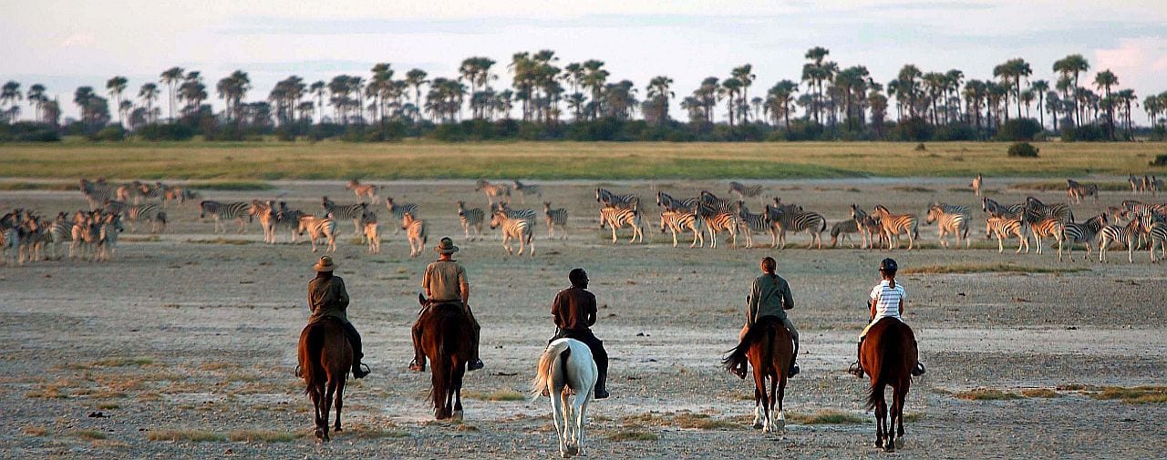 Types of safari - horse riding safari