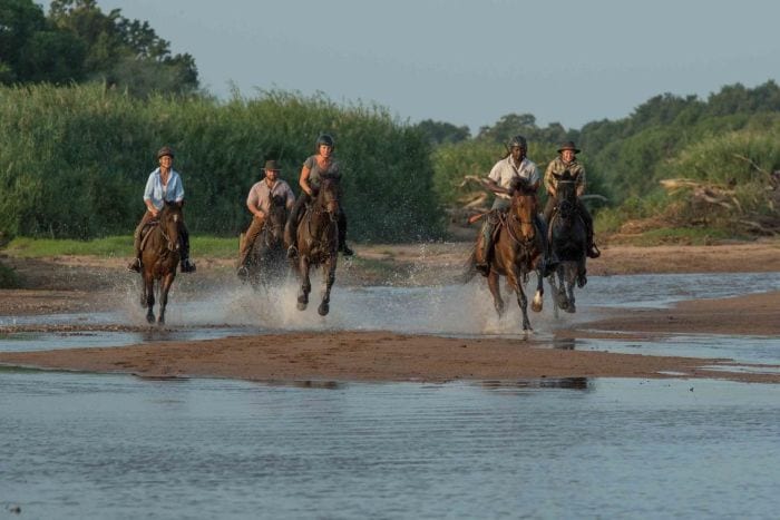 mashatu horse riding