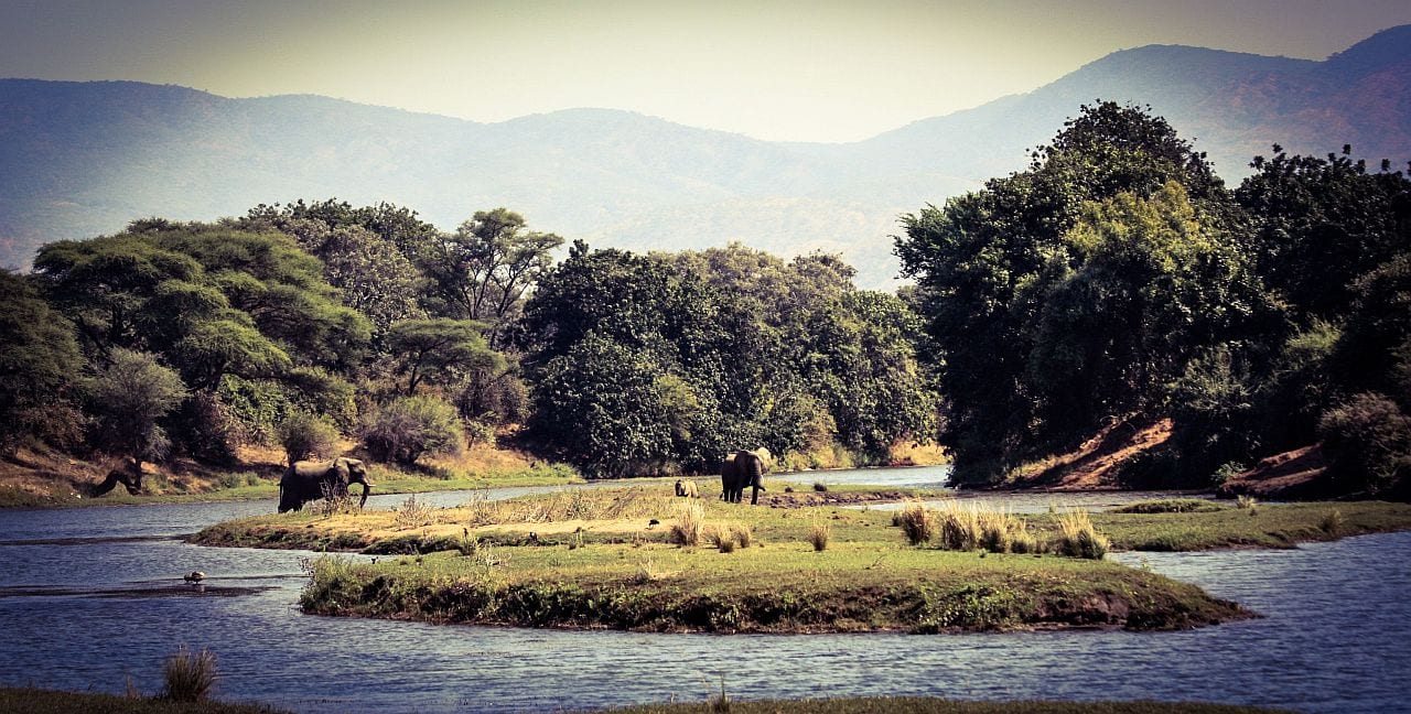 Mila's photo blog from her walking safari in Zambia - Lower Zambezi River