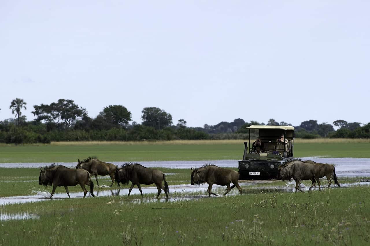 Reasons to visit Botswana