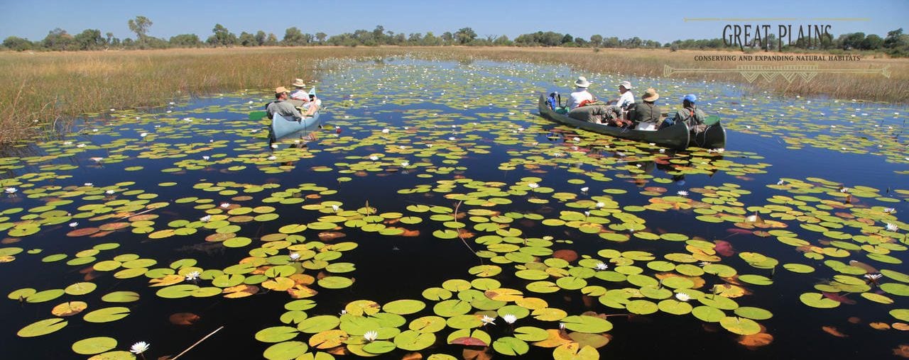 Types of safari - canoeing safaris, why does the Okavango Delta flood