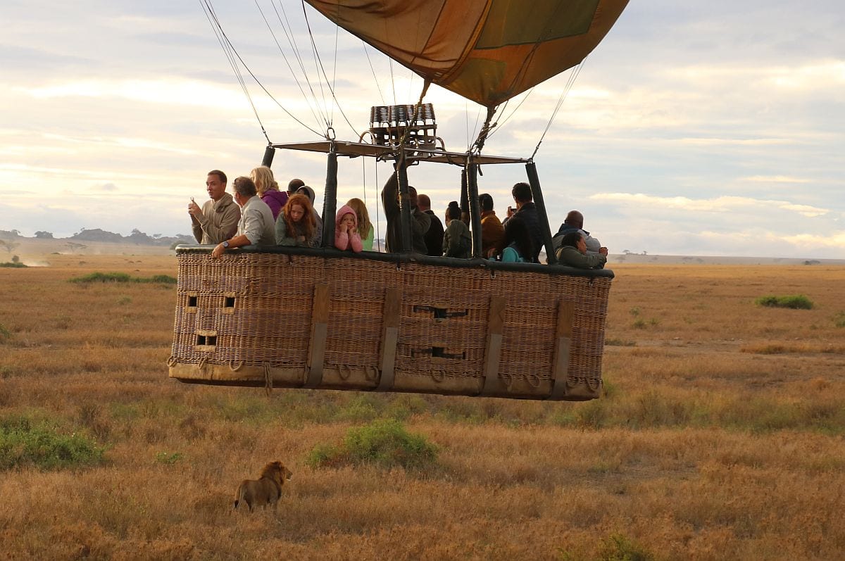 Lion whilst in a hot air balloon