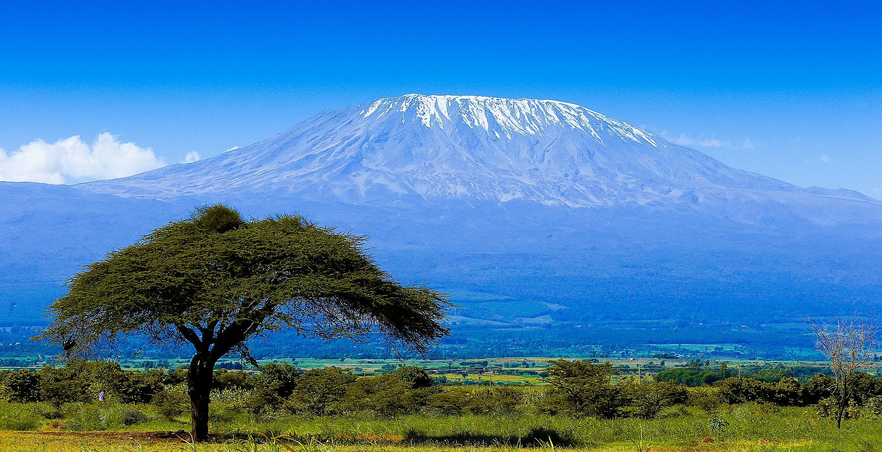 Mount Kilimanjaro - classic view