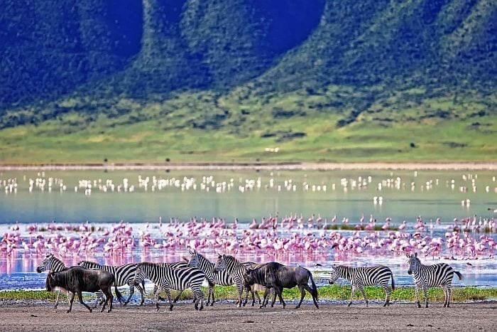 Ngorongoro crater panorama