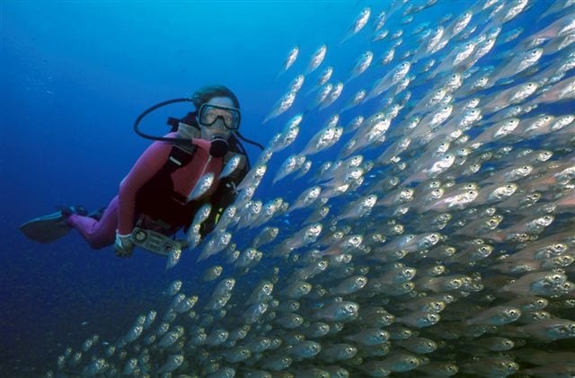 Thonga-Beach-Lodge-Diving with glassy's