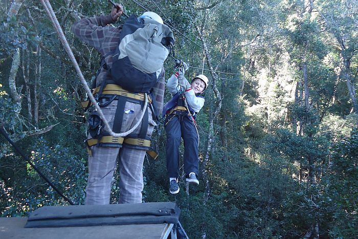 Our Treetop canopy tour