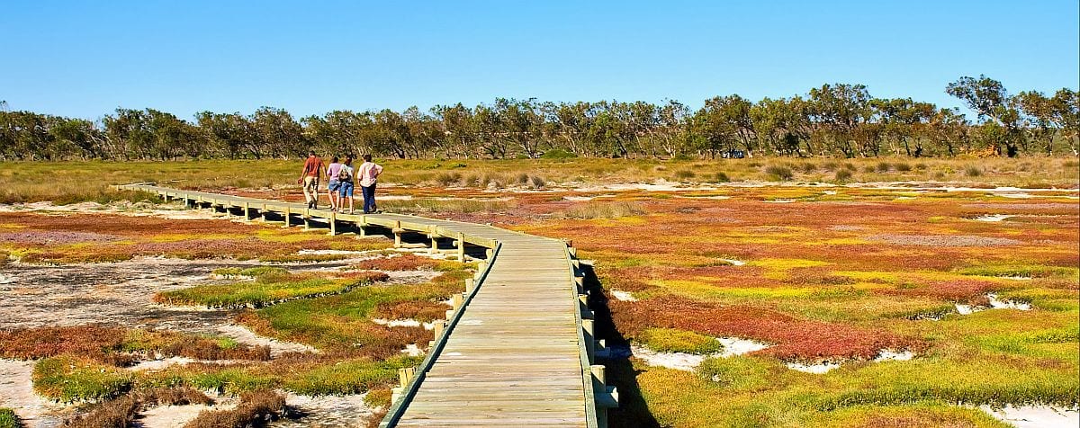 West Coast National Park, Cape West Coast by Cedarberg Africa