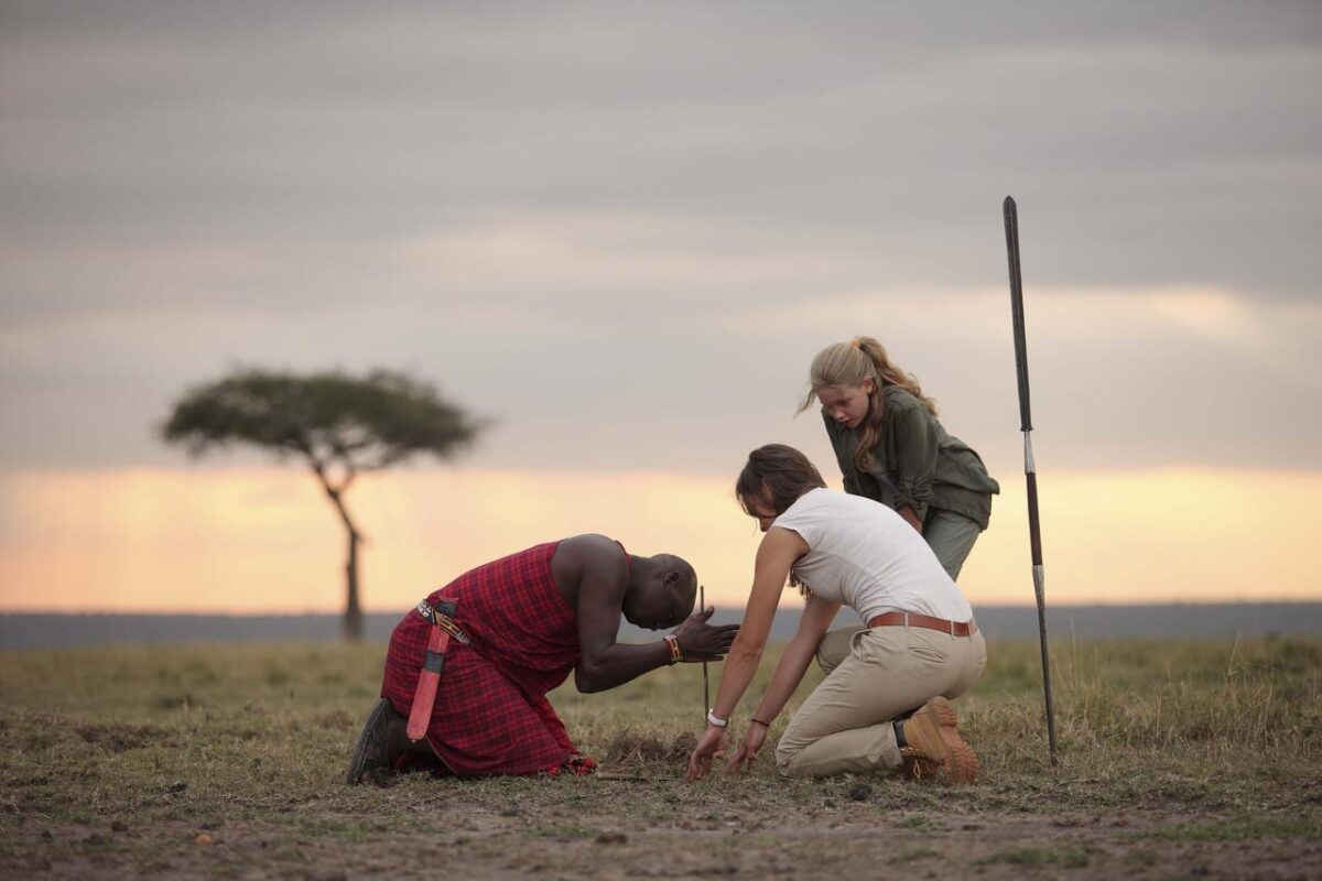 Elephant Pepper Camp