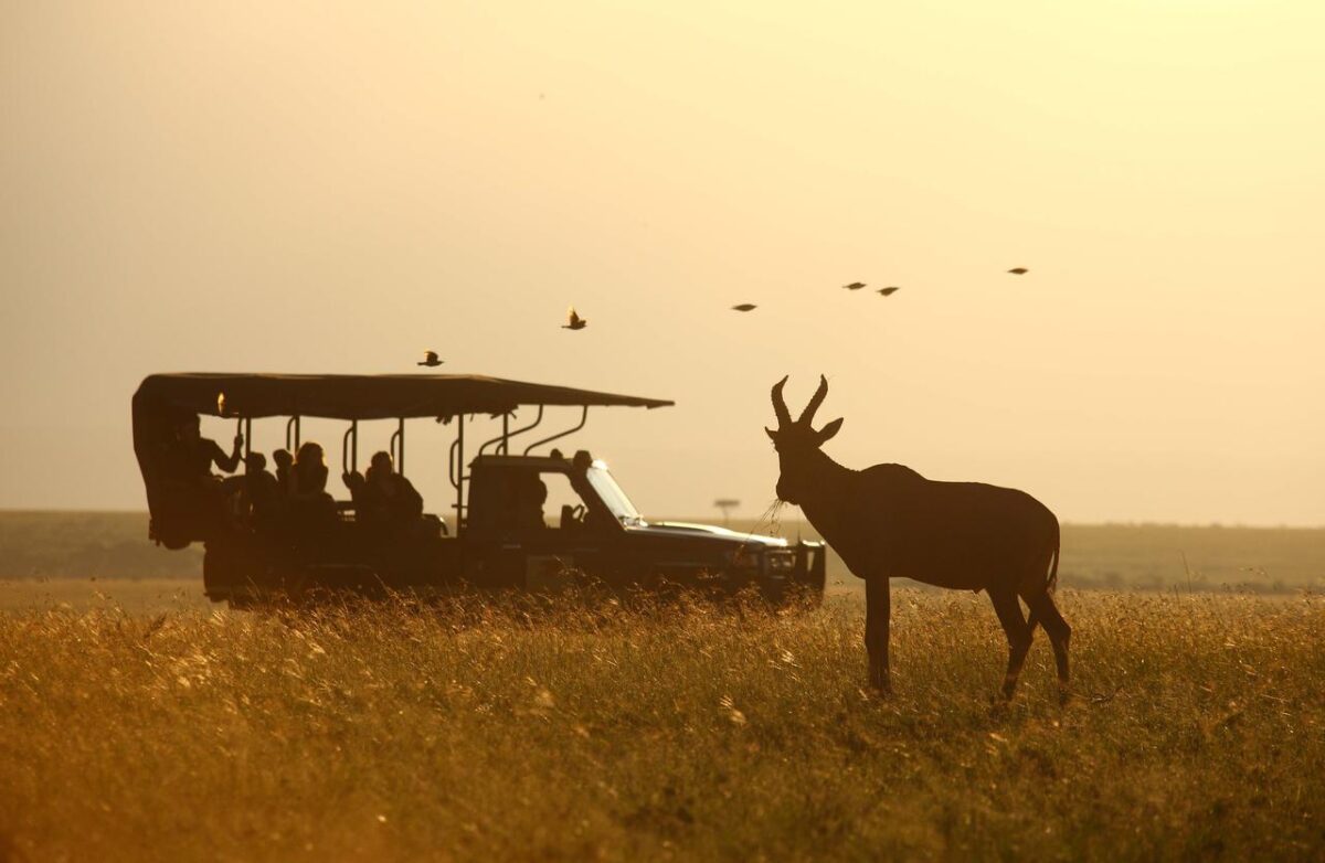 Elephant Pepper Camp