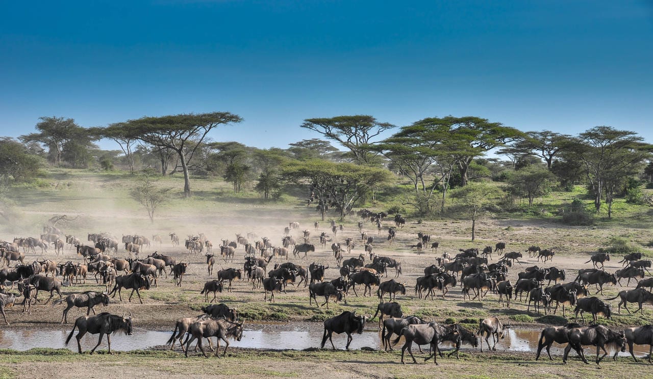 Where to go in Africa in August, September and October