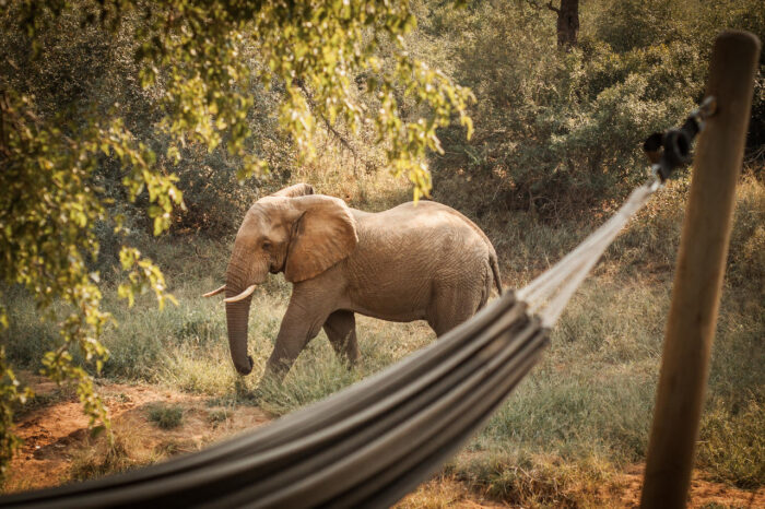 Cedarberg Travel | Garonga Safari Camp