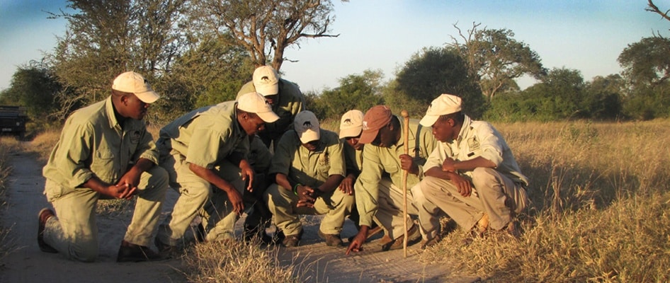 Rural people receive tracking skill training at the Tracker Academy