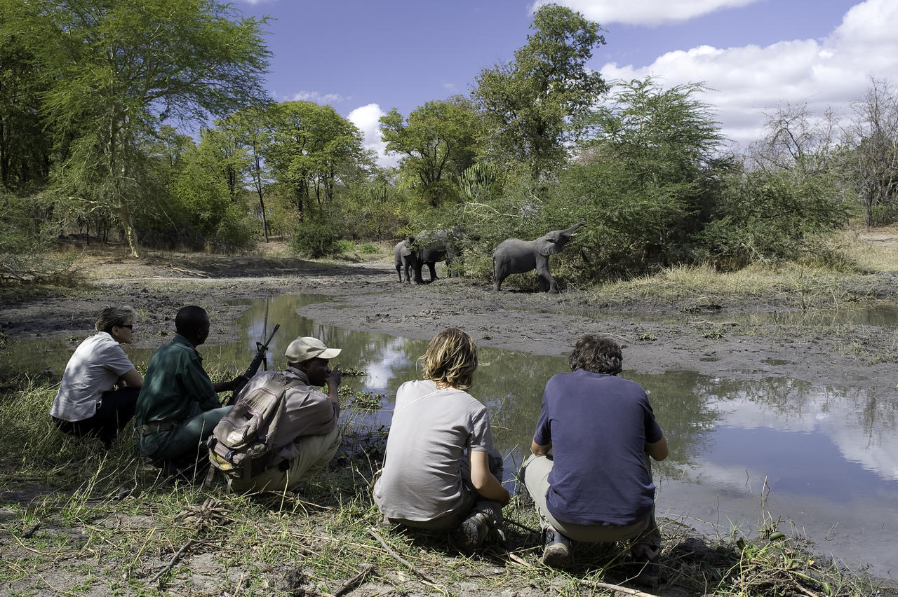 Mvuu Camp, Liwonde National Park - Cedarberg Africa