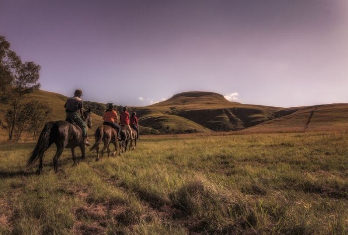 Montusi Mountain Lodge horse riding