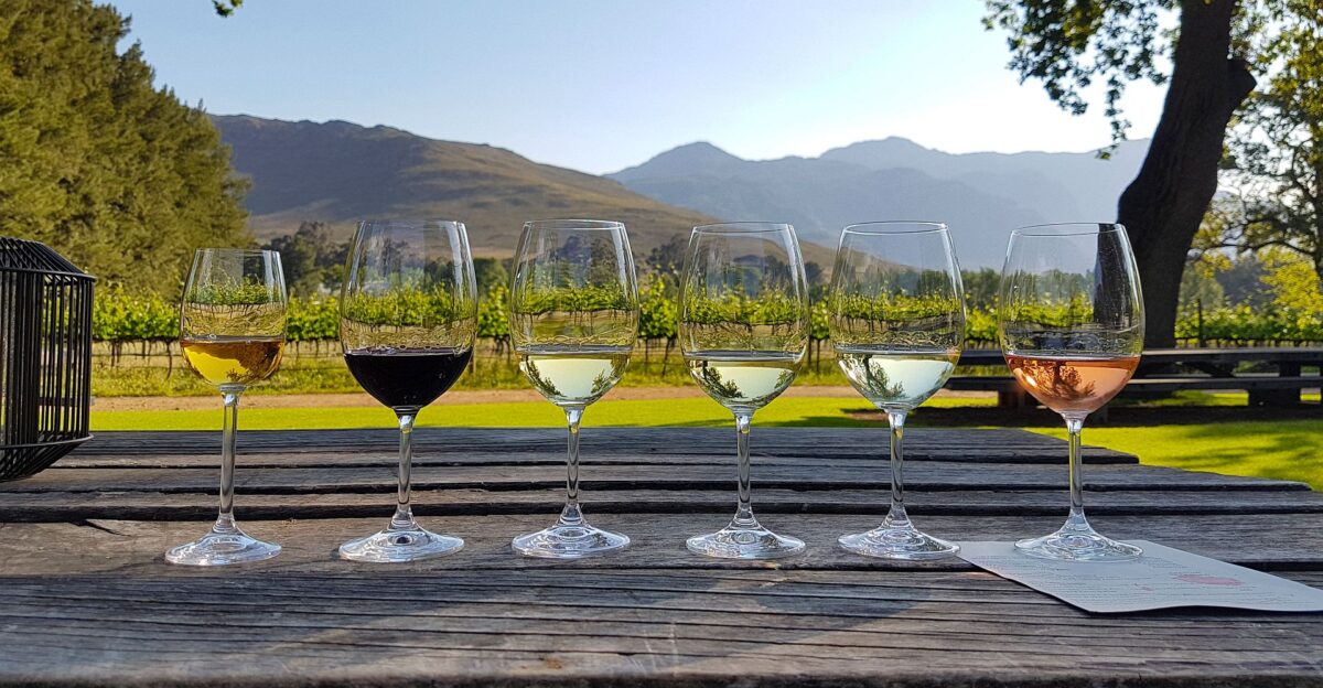 Winelands - wine tasting