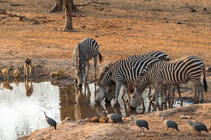 Cedarberg Travel | Best of Southern Malawi