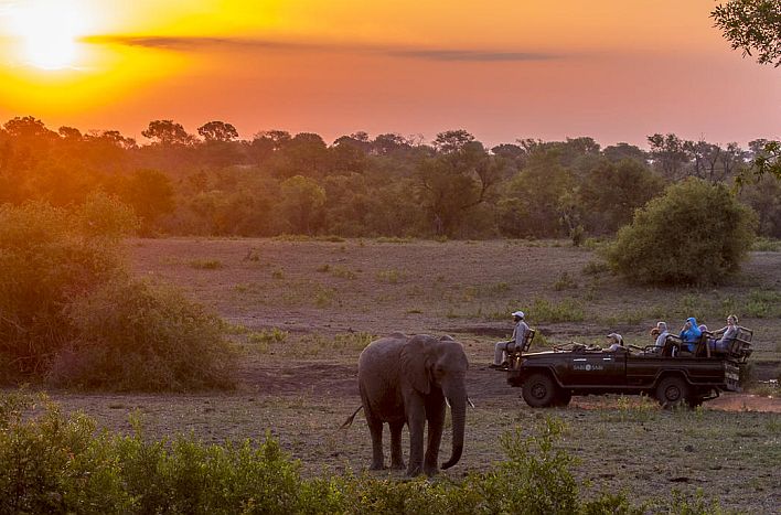 Safari in Sabi Sands Game Reserve at Sabi Sabi