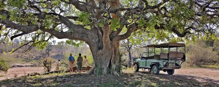 Cedarberg Travel | Kruger Safari & Massinga Romantic Combo Offer