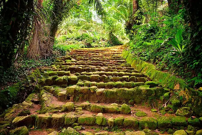 Entebbe botanical gardens