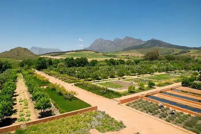 Babylonstoren gardens, Franschhoek hotels