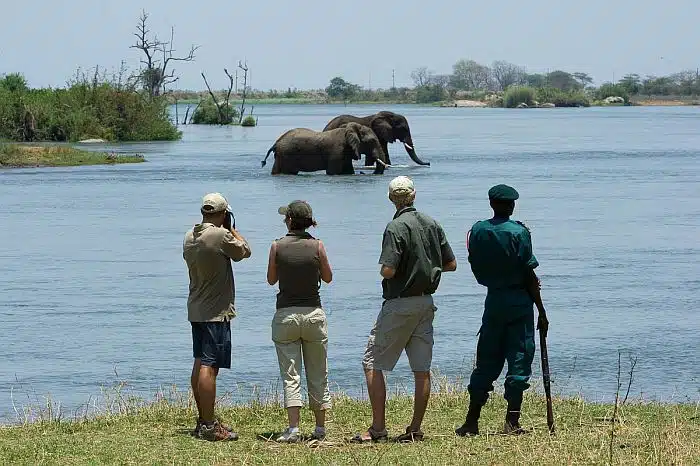 Majete Game Reserve - walking safari