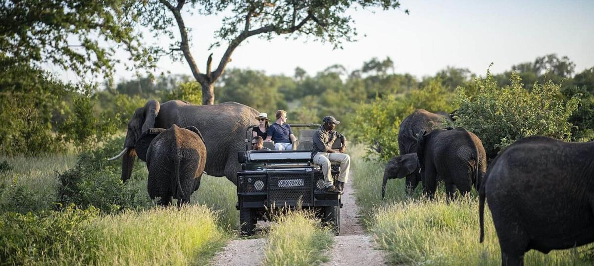 Affordable African safaris - Simbavati river lodge in the Greater Kruger