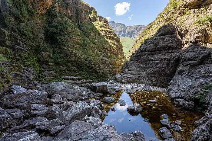 Stellenbosch Jonkershoek Nature Reserve