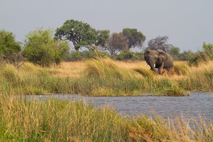 Caprivi Strip