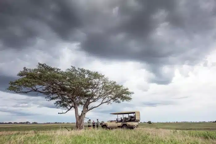 Cedarberg_Africa_Chisa_bush_camp_game_drive