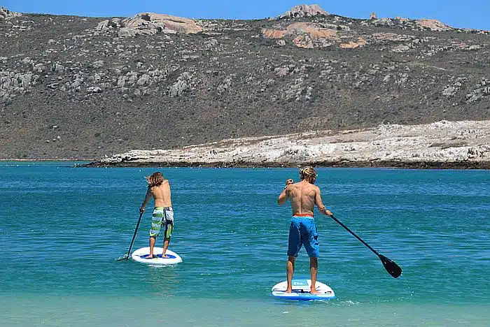 Stand-up paddle boarding, Langebaan, Cape West Coast