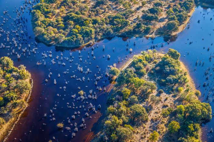 Okavango Delta safari