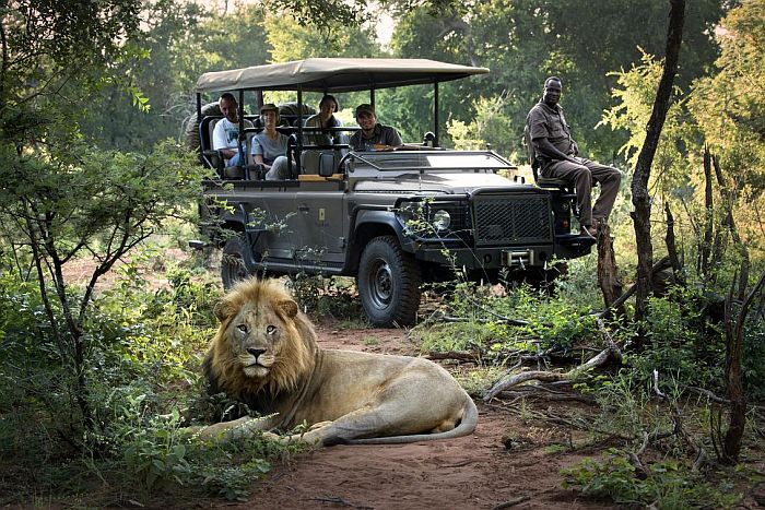 Green season safari in Madikwe