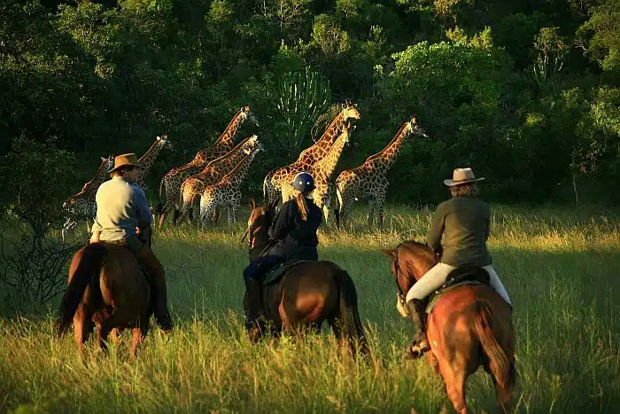 Horse-riding in Waterberg