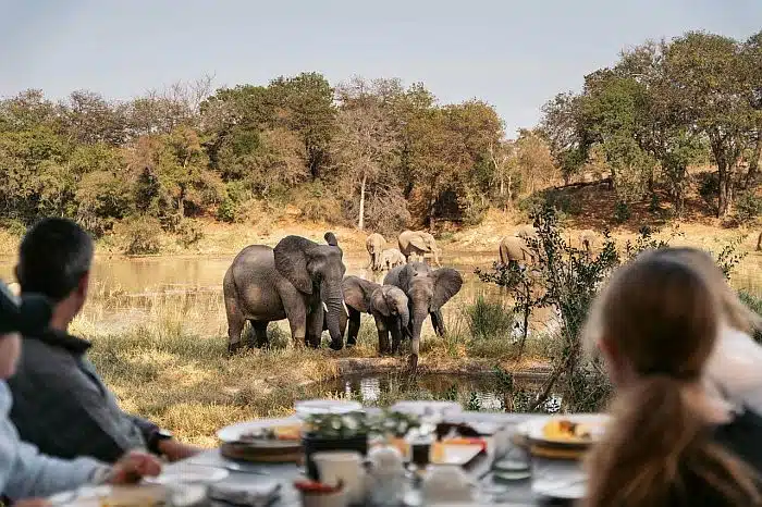 Timbavati safari - Seeing elephant from the Simbavati river lodge deck