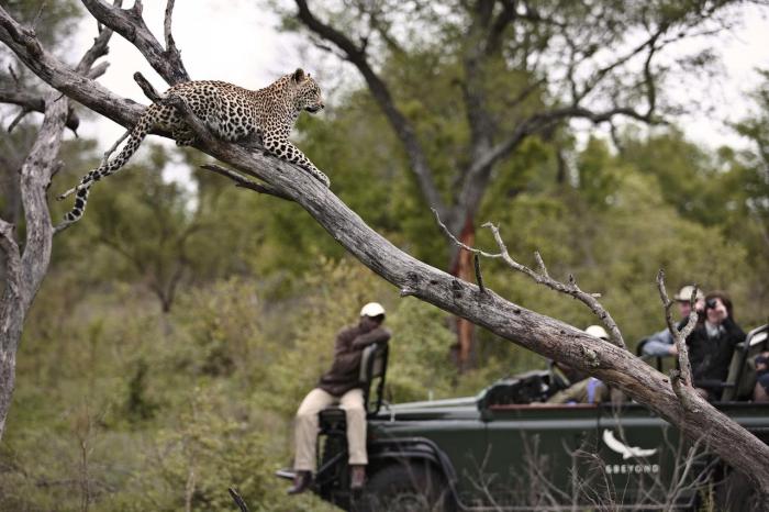 Cedarberg Travel | andBeyond Kirkman's Kamp