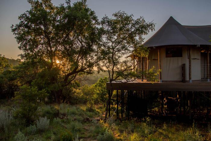 Cedarberg Travel | Nkomazi Game Reserve