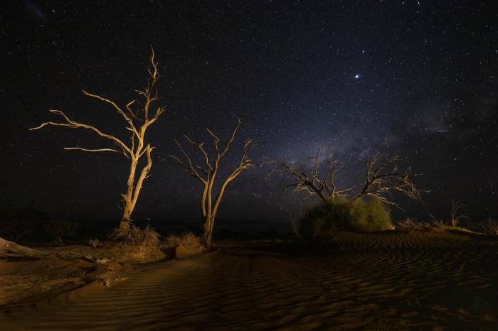 Cedarberg Travel | Kulala Desert Lodge