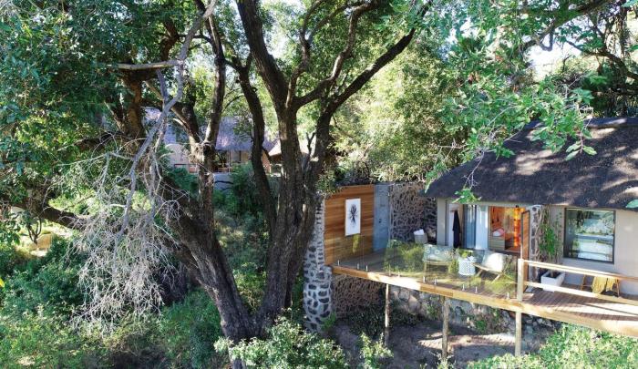 Cedarberg Travel | Londolozi Tree Camp